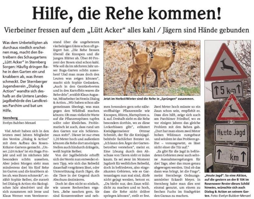 SVZ vom 08.11.2008