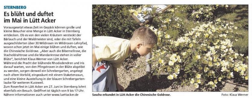 SVZ vom 20.05.2009