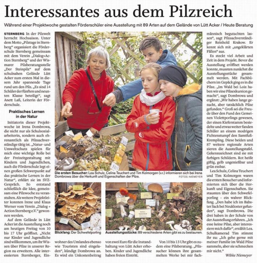 SVZ vom 07.10.2016